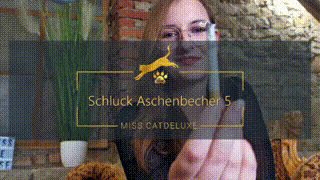 Schluck Aschenbecher 5