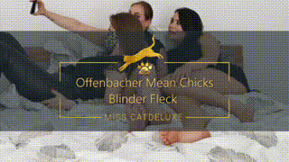 Offenbacher Mean Chicks - Blinder Fleck