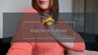 Kaschmir Pullover