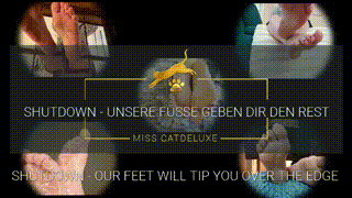 SHUTDOWN - OUR FEET WILL TIP YOU OVER THE EDGE
